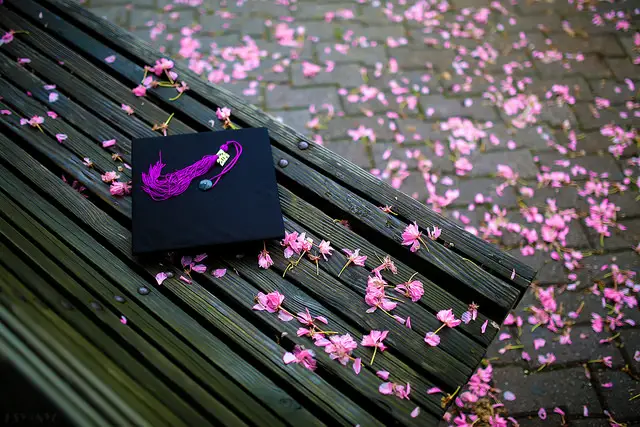 A graduation mortarboard on a wooden bench with pink flower petal.