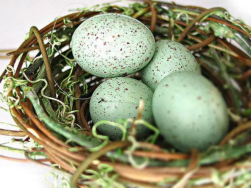 4 nest eggs as an example of Private Retirement Scheme.