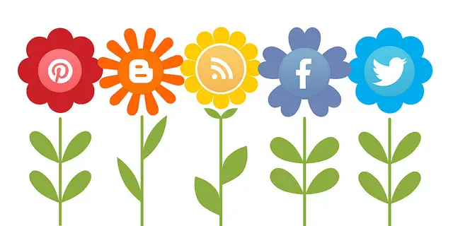 flower buds with social media icons