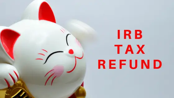 A white piggy kitten waving happily with wording IRB tax refund.