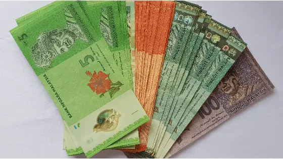 Malaysian Ringgit notes of RM5, RM10, RM50 and RM100.