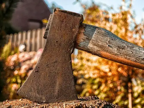 An axe on a tree stump symbolizing retrenchment exercise in corporate world.