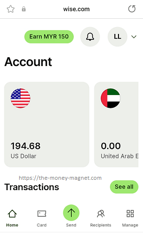 Wise Multi-Currency Account (MCA).